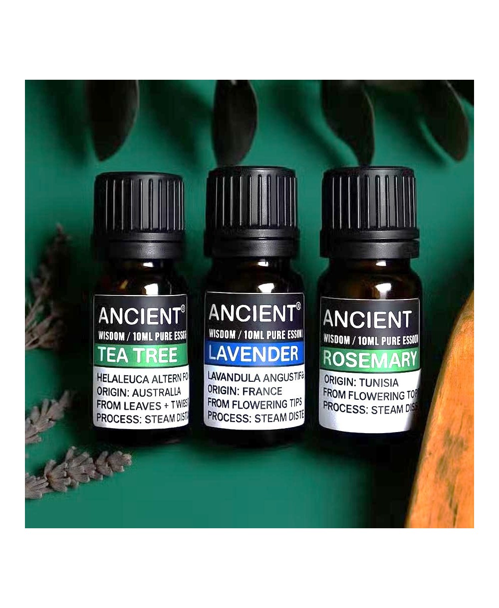 Set de aceites esenciales de lavanda, árbol de té y romero para aromaterapia y bienestar.