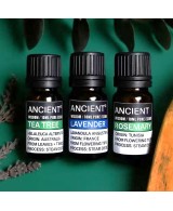 Set de aceites esenciales de lavanda, árbol de té y romero para aromaterapia y bienestar.