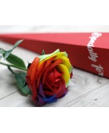 Rosa de Jabón Multicolor Aromática