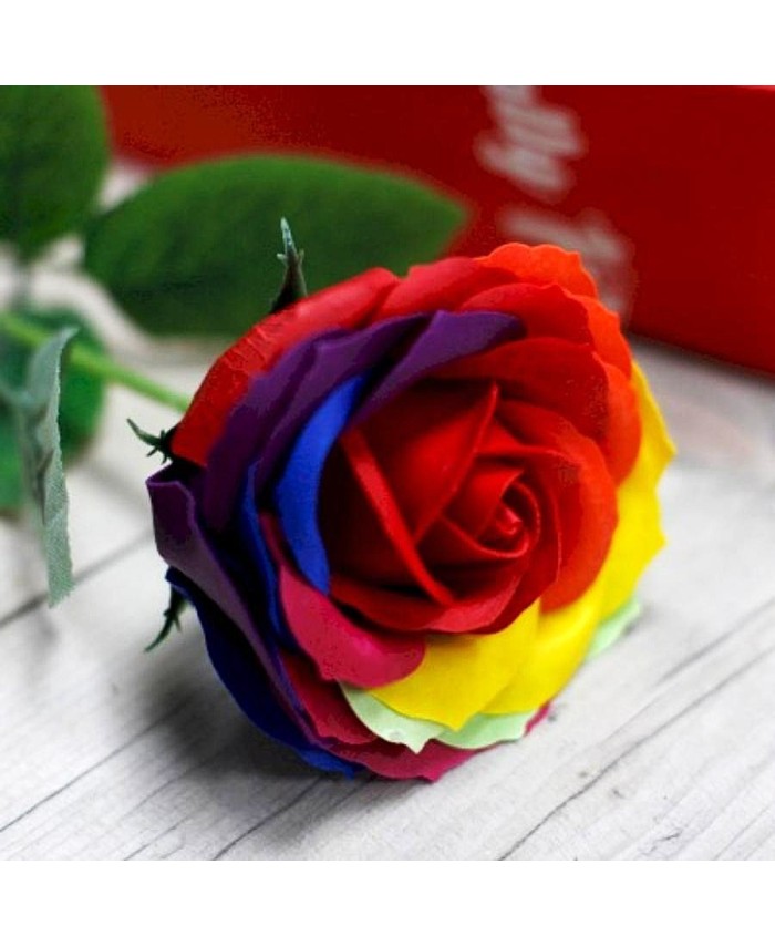 Rosa de jabón arcoíris ideal para regalar en ocasiones especiales.