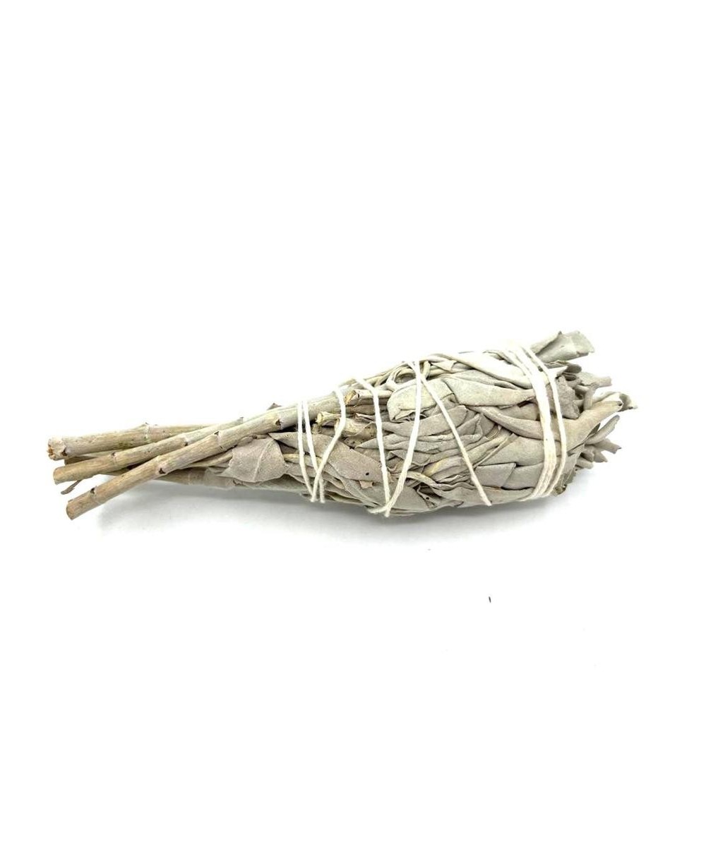 Antorcha de Salvia Blanca para Limpieza Energética