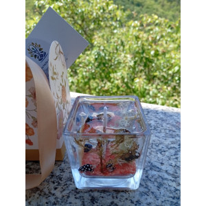 Vela de Gel Estrella de Mar Magia Marina | Jessimistica