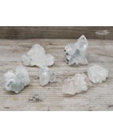 Seis racimos de apofilita blanca natural para colección, decoración y meditación.