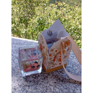 Vela de Gel Estrella de Mar Magia Marina | Jessimistica