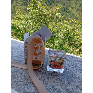 Vela de Gel Estrella de Mar Magia Marina | Jessimistica