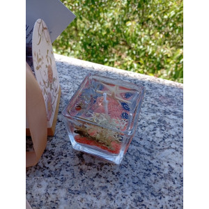 Vela de Gel Estrella de Mar Magia Marina | Jessimistica