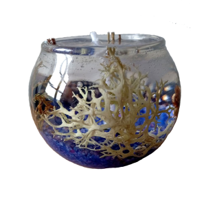 Vela de Gel Bosque Marino | Frescura y Belleza – Jessimistica