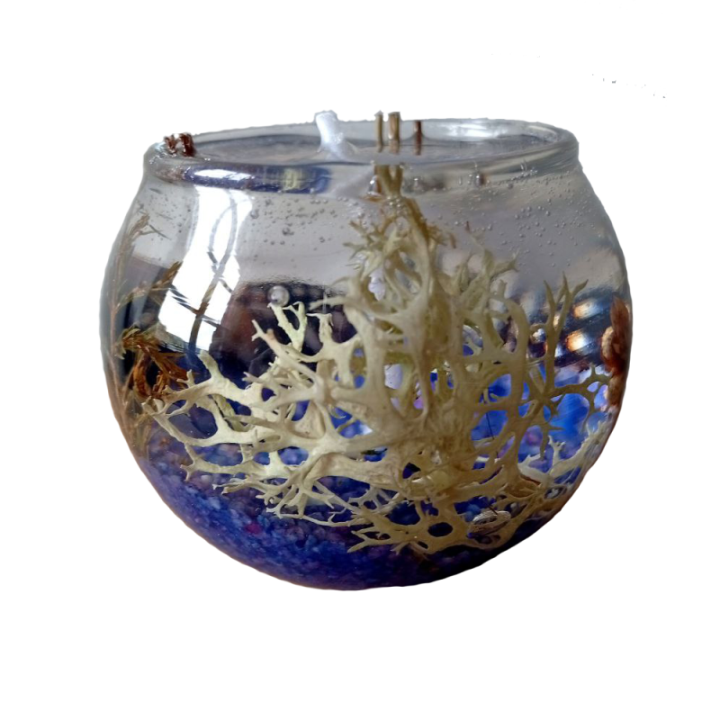 Vela de Gel Bosque Marino | Frescura y Belleza – Jessimistica