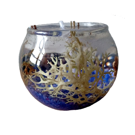 Vela de Gel Bosque Marino | Frescura y Belleza – Jessimistica