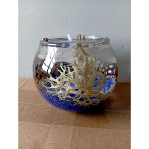 Vela de Gel Bosque Marino | Frescura y Belleza – Jessimistica