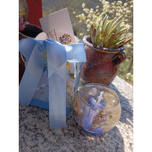 Vela de Gel Bosque Marino | Frescura y Belleza – Jessimistica