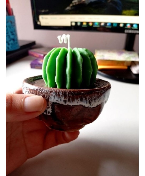 Vela Cactus Artesanal