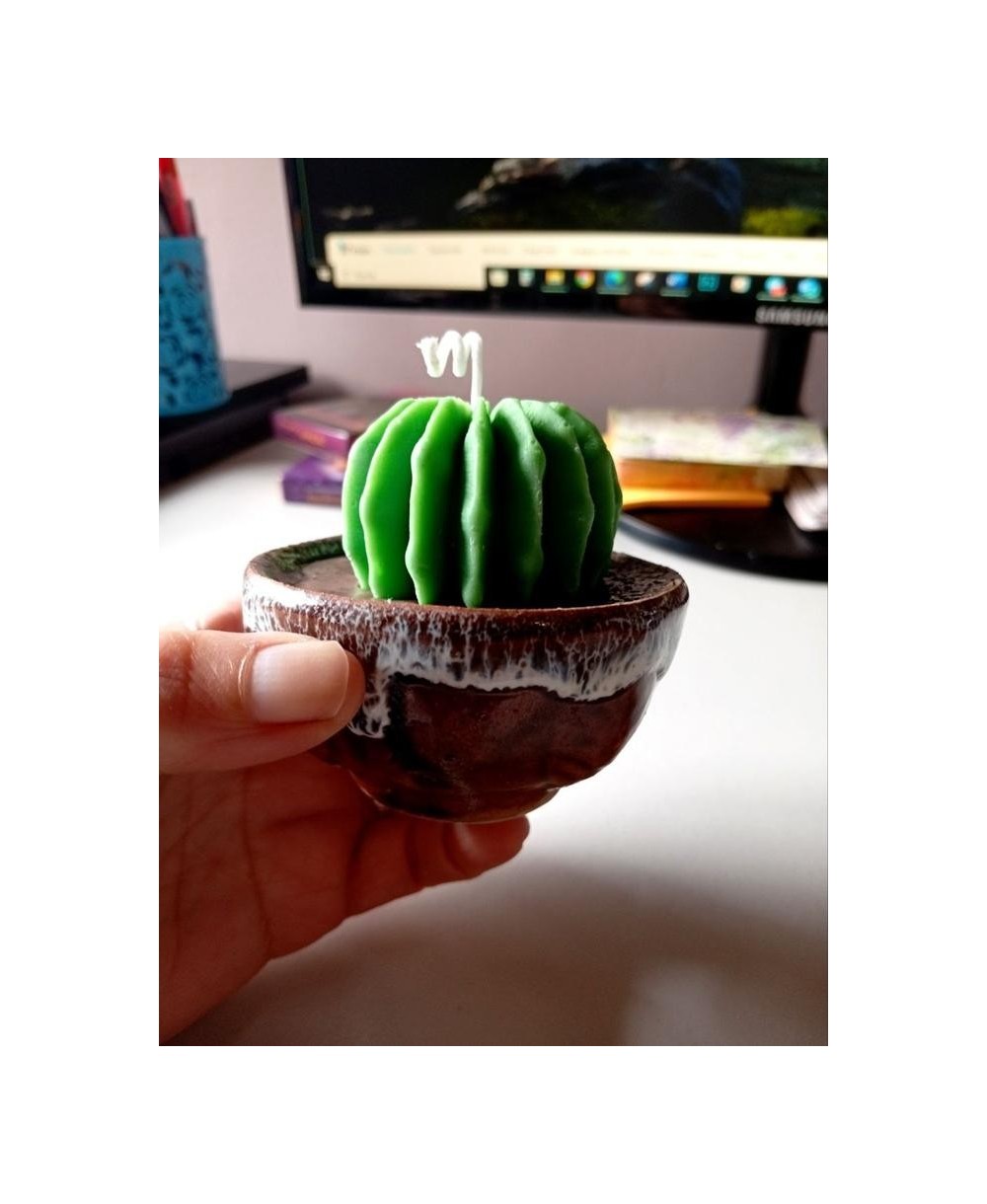 Vela Cactus Artesanal