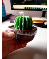 Vela Cactus Artesanal