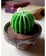 Vela Cactus Artesanal