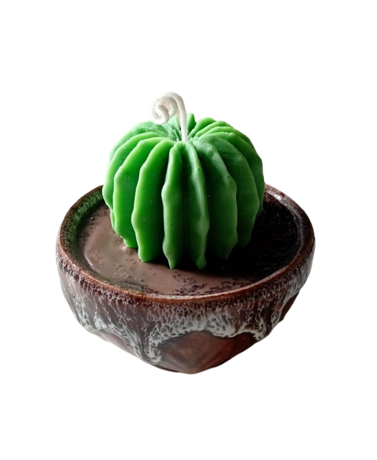 Vela artesanal de soja con forma de cactus en maceta marrón de cerámica para decorar el hogar.