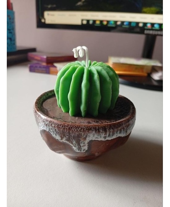 Vela Cactus Artesanal