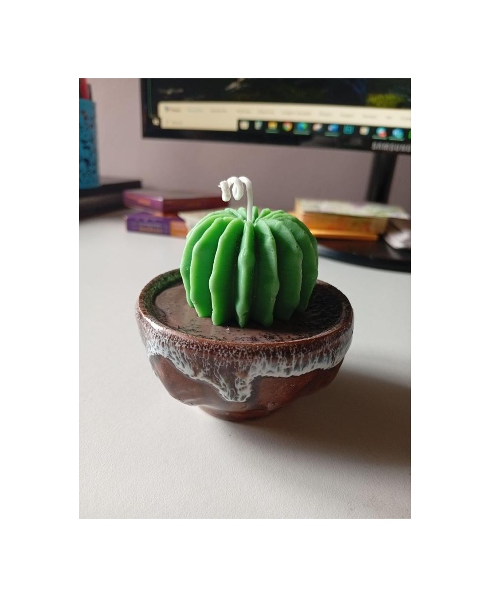 Vela Cactus Artesanal