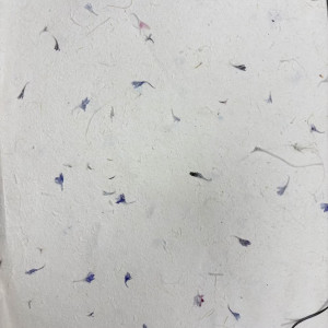 Presentación del Papel Lokta Pétalos de Aciano.