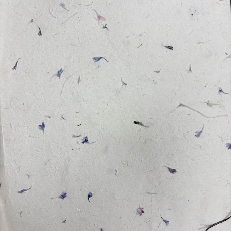 Presentación del Papel Lokta Pétalos de Aciano.