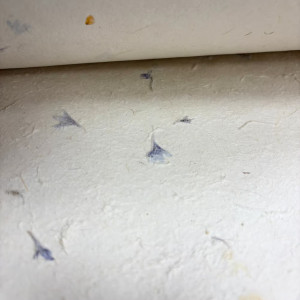 Presentación del Papel Lokta Pétalos de Aciano para cubiertas de cuadernos.