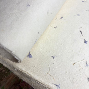 Presentación del Papel Lokta Pétalos de Aciano para scrapbooking.