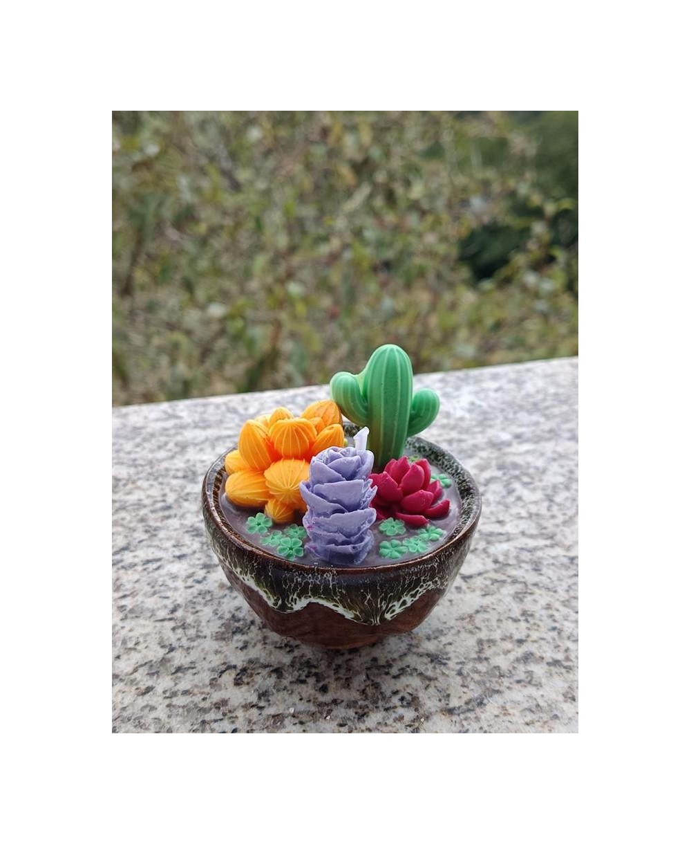 Vela Decorativa Cactus y Suculentas