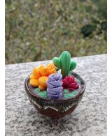 Vela Decorativa Cactus y Suculentas
