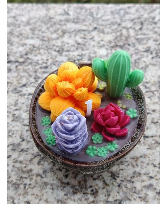 Vela Decorativa Cactus y Suculentas
