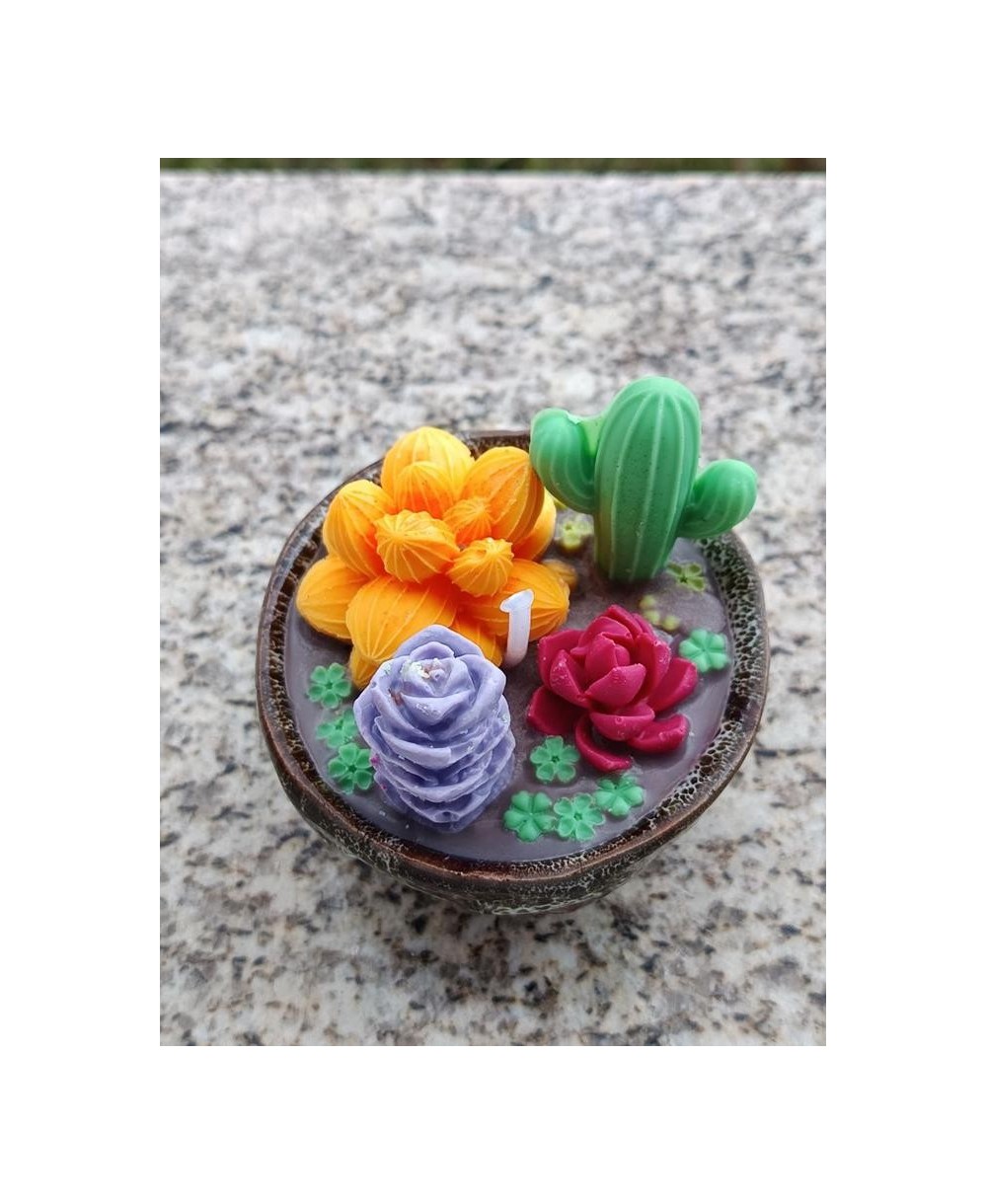 Vela Decorativa Cactus y Suculentas