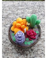 Vela Decorativa Cactus y Suculentas