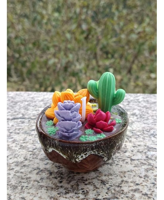 Vela Decorativa Cactus y Suculentas