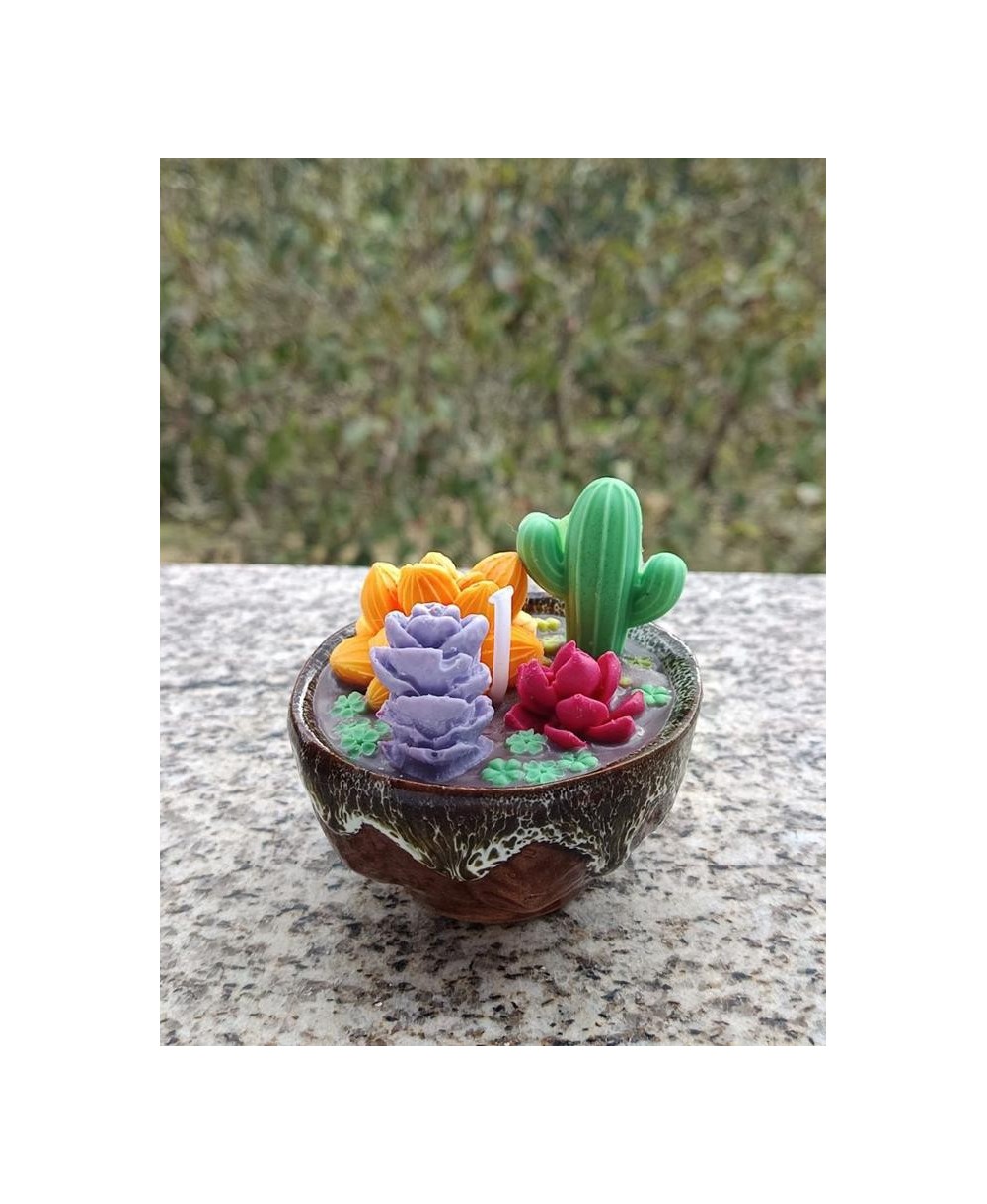 Vela Decorativa Cactus y Suculentas