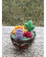 Vela Decorativa Cactus y Suculentas