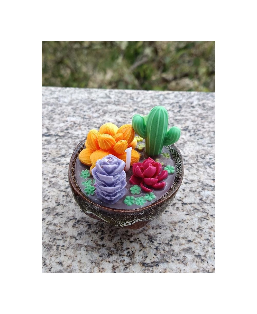 Vela Decorativa Cactus y Suculentas