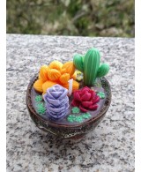 Vela Decorativa Cactus y Suculentas