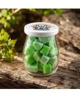 Cera de soja perfumada para quemador