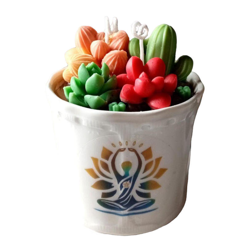 Vela Suculentas en Maceta | Artesanía Natural con Aroma – Jessimistica
