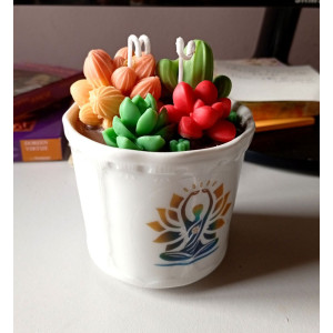 Vela Suculentas en Maceta | Artesanía Natural con Aroma – Jessimistica