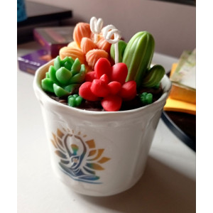 Vela Suculentas en Maceta | Artesanía Natural con Aroma – Jessimistica