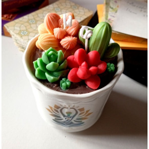 Vela Suculentas en Maceta | Artesanía Natural con Aroma – Jessimistica