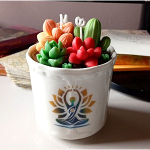 Vela Suculentas en Maceta | Artesanía Natural con Aroma – Jessimistica