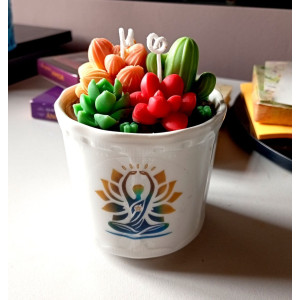 Vela Suculentas en Maceta | Artesanía Natural con Aroma – Jessimistica