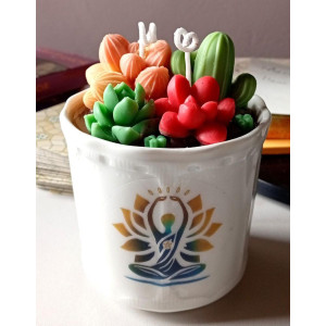 Vela Suculentas en Maceta | Artesanía Natural con Aroma – Jessimistica