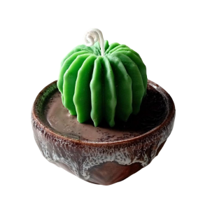 Vela Cactus | Artesanía en Cera de Soja y Aroma Natural – Jessimistica