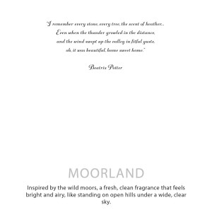 Mensaje de vela botánica con envase de vidrio y caja decorativa para regalo.