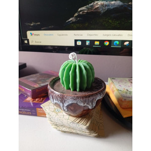 Vela Cactus | Artesanía en Cera de Soja y Aroma Natural – Jessimistica