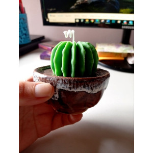 Vela Cactus | Artesanía en Cera de Soja y Aroma Natural – Jessimistica