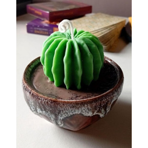 Vela Cactus | Artesanía en Cera de Soja y Aroma Natural – Jessimistica