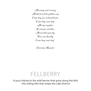 Vela botánica aromática Fellberry para hogar natural